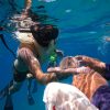 Private Sailing Catamaran Group of 8-12 - Imagen 2